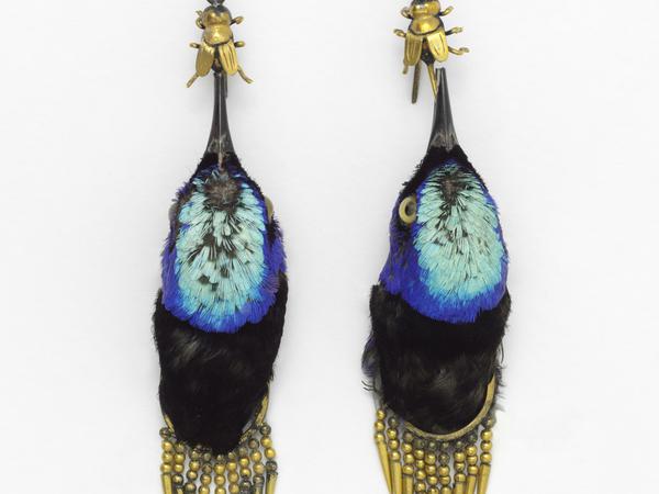 Da piept's wohl. Die Köpfe von Türkisvögeln wurden zu Ohrringen verarbeitet, um 1875.