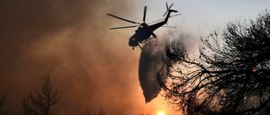 Ein Löschhubschrauber wirft über einem Waldbrand im Norden Athens Wasser ab.