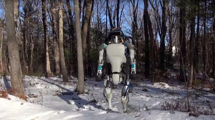 Selbst mit dem unebenen und verschneiten Waldboden kommt der Roboter Atlas bestens zurecht.