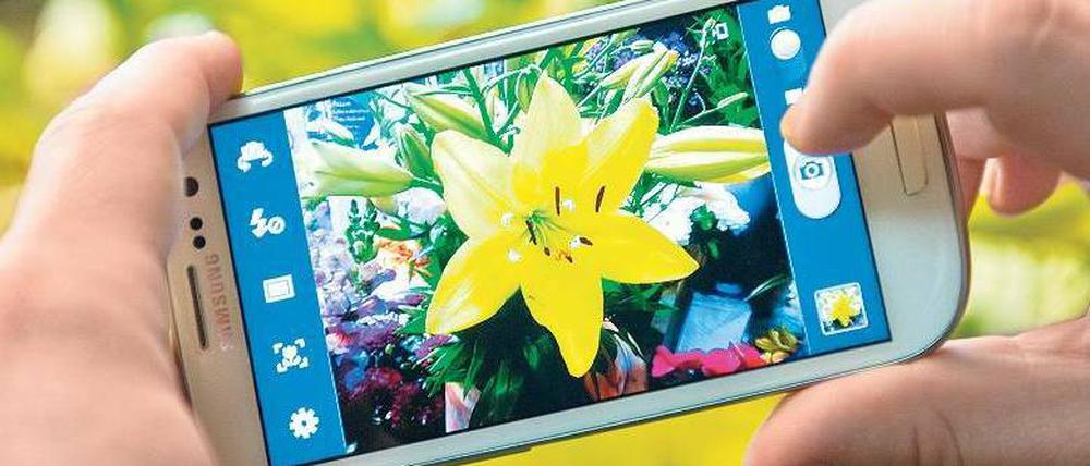 Das große Display des Galaxy S3 nutzt eine LED-Technik, die Fotos besonders kontrastreich und mit intensiven Farben darstellt. Foto: Andrea Warnecke, dpa