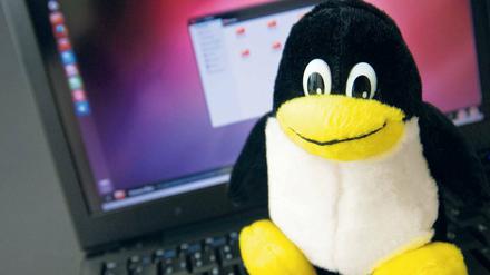Das niedliche Maskottchen mit dem Namen Tux täuscht leicht darüber hinweg, dass Linux nicht zuletzt aus Sicherheitsgründen eine ernsthafte Alternative zu Windows sein kann. Vom 8. bis zum 10. Mai findet in Berlin der Linux-Tag 2014 statt. Foto: pa/dpa