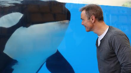 Hannes Jaenicke Auge in Auge mit einem Orka. Das ZDF schickt den Schauspieler wieder zu einem Einsatz für bedrohte Tierarten.