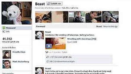 Nur echte Freunde freuen sich über Mark Zuckerbergs Hundewelpen Beast.