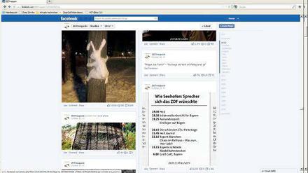 Ansichtssache. Rund 17 800 Nutzer klickten auf der Facebook-Seite des „Zeit-Magazin“s mit dem skurrilen Schneehasen den Button „Gefällt mir“. 