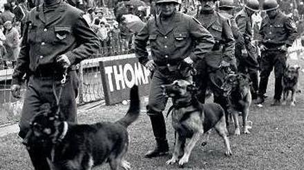 Mord und Sport. Am 5. Juni 1977 patrouillierten Soldaten mit Schäferhunden durch das Stadion in Buenos Aires , in dem die argentinische Fußball-Nationalmannschaft gegen das deutsche Team antritt. Das Spiel fand statt, auch wenn der DFB wusste, dass die Junta die deutsche Studentin Elisabeth Käsemann kurz zuvor ermorden ließ. Fotos: NDR/imago