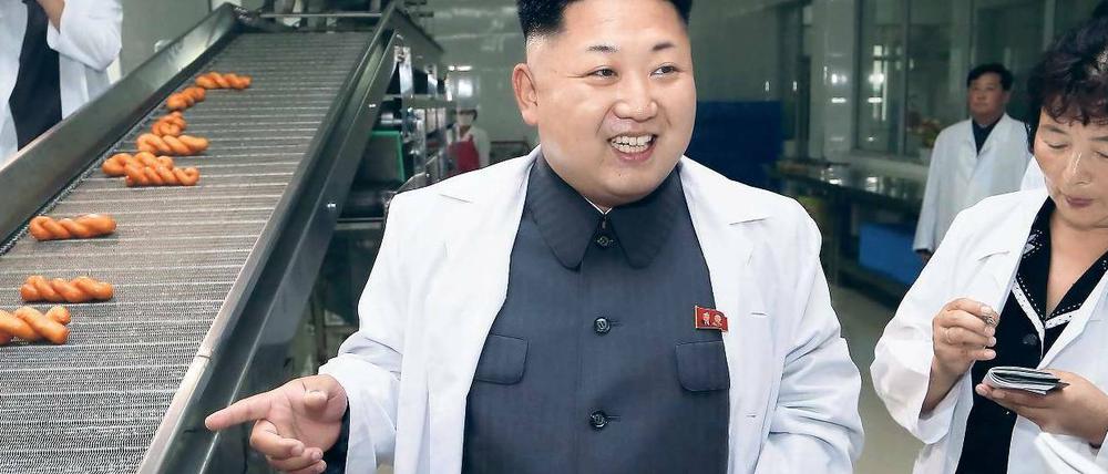 "Kim Jong-Un looking at things", diese Website gehört zu den absoluten Internet-Hits