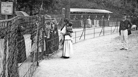 Allen möglichen Unsinn aufführen. Knapp 35 000 Personen wurden zwischen 1810 und 1940 als so genannte „Wilde“ in Menschen-Zoos ausgestellt. 