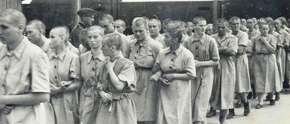 Überleben auf Zeit. Diese jungen Frauen, gerade in Auschwitz angekommen, dürfen vorläufig weiterleben – die SS hält sie für „einsatzfähig“. 