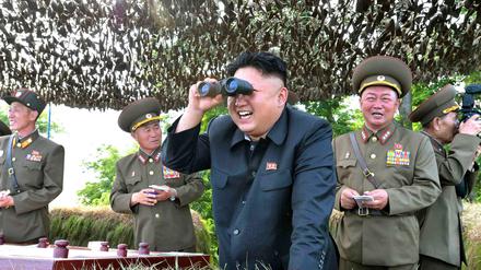 "Kim Jong Un looking at things". Der gleichnamige Blog dokumentiert die legendären Inspektionen des nordkoreanischen Diktators. 