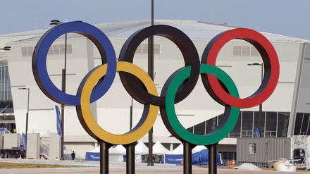 ARD und ZDF werden von den Olympischen Winterspielen in Südkorea berichten können.