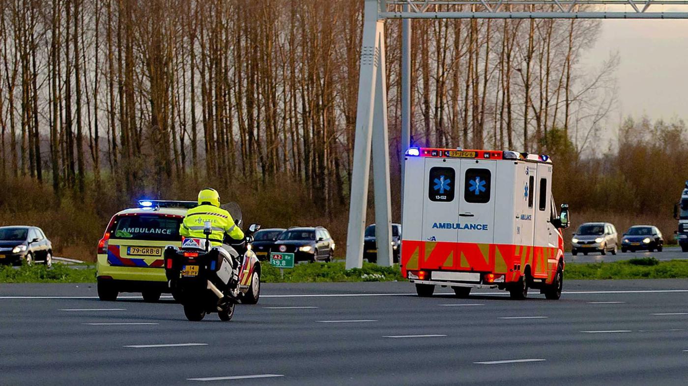 Unfall in den Niederlanden: Deutscher will offenbar Hund auf der ...