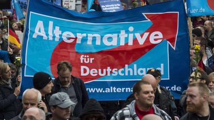 Anhänger der Alternative für Deutschland (AfD) während einer Demonstration der Partei am 7. November in Berlin. 