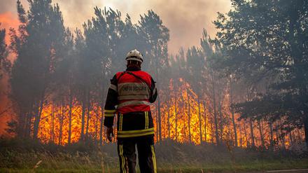 Die Waldbrände im Süden Europas halten an.