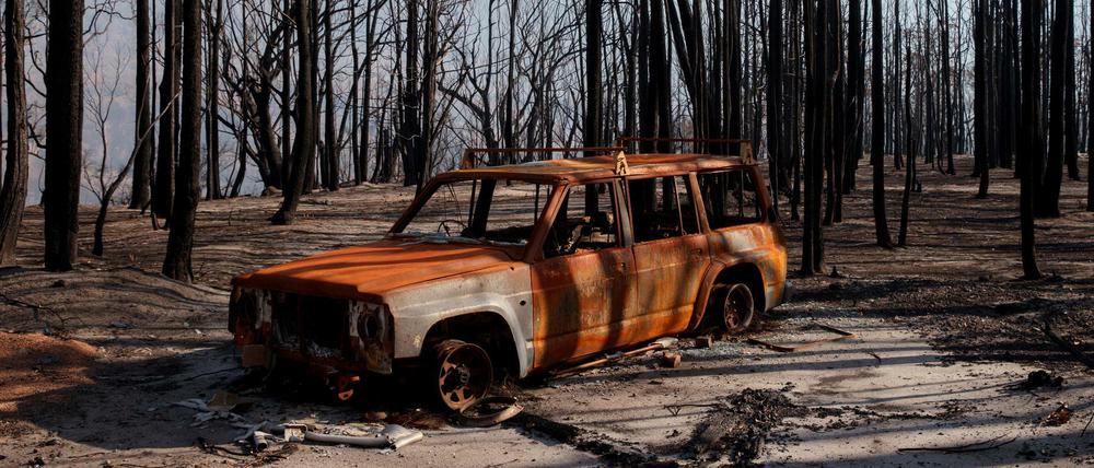 Ein abgebranntes Auto inmitten eines abgebrannten Waldes. 