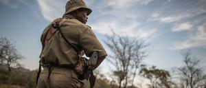 Die Ranger im Krüger-Nationalpark sollen auch gegen Wilderer vorgehen – manche helfen den Räubern allerdings.