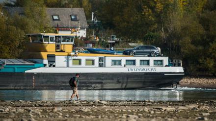 Ein Binnenschiff passiert in der verbliebenen schmalen Fahrrinne einen Spaziergänger auf einer Sandbank im Rhein. 