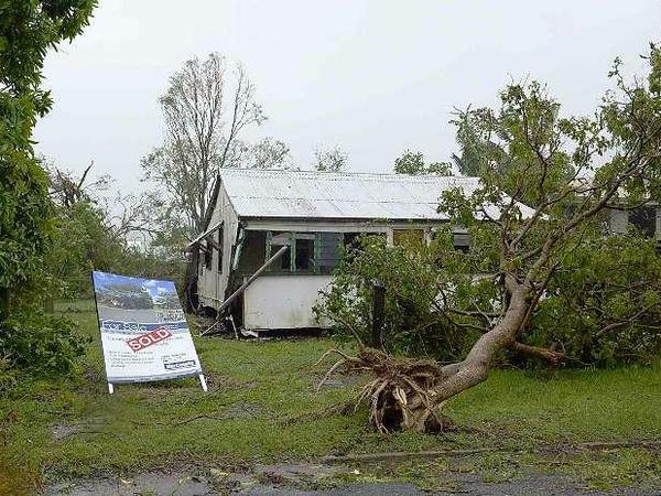 Die Wirbelstürme "Marcia" und "Lam" richten erheblichen Schaden in Australien an. Hier ist ein Baum in Queensland ausgerissen worden. 