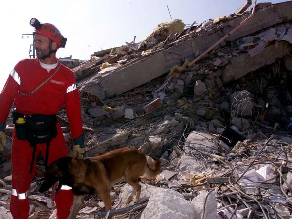 Österreichische Hilfskräfte suchen nach Überlebenden nach dem Erdbeben in Gölcuk. 