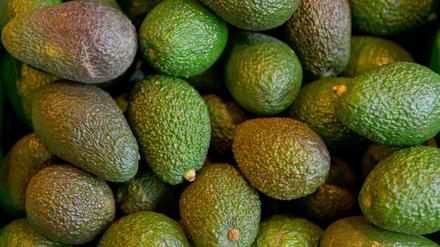 Mit Taschenlampen und Harken bewaffnete Räuber machen in Neuseeland Avocado-Plantagen unsicher.