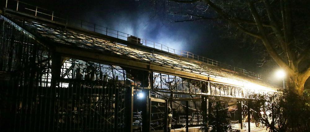 Das Affenhaus des Krefelder Zoos nach dem Brand in der Silvesternacht.