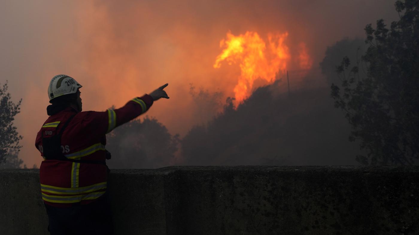 Des milliers d’hectares de terres en danger – des centaines de pompiers en action