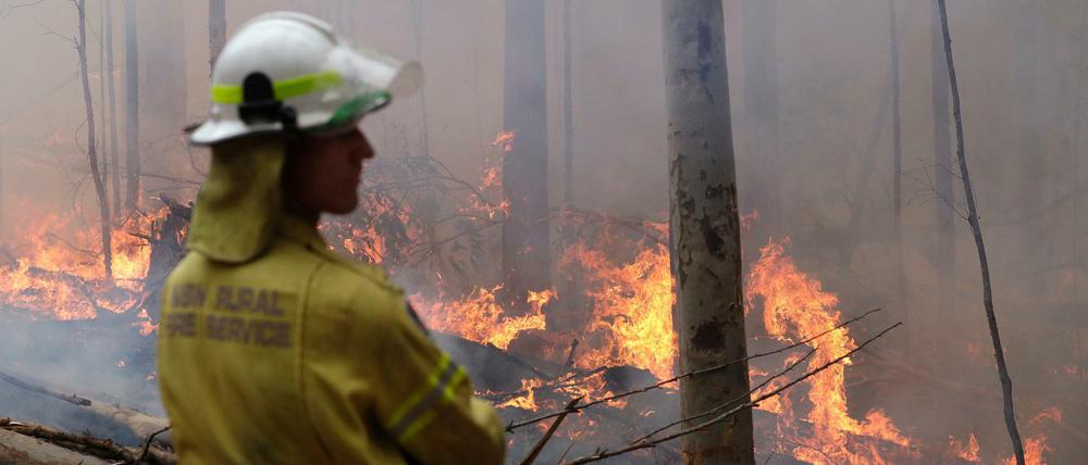 Tausende Feuerwehrleute kämpfen in Australien gegen die Flammen.
