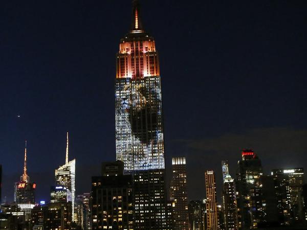 Der Löwe "Cecil" wurde an diesem Wochenende neben vielen anderen vom Aussterben bedrohten Tieren im Rahmen des Projektes "Wandel zeigen" des Oscar-Preisträgers und Ozean-Schützers Louis Psihoyos in New York auf das Empire State Building projiziert.