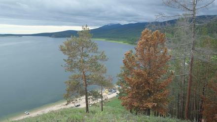 Der Baikal, tiefster See der Erde. 