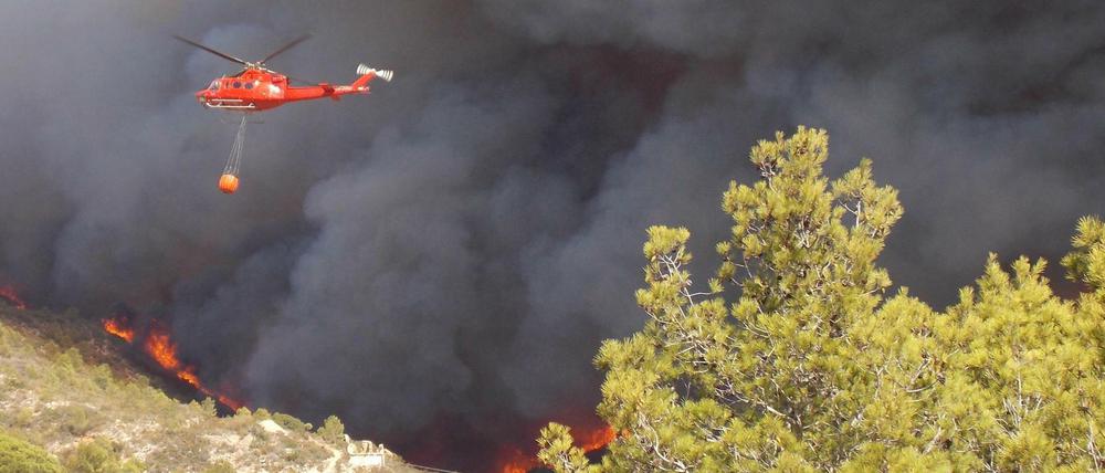 An der Costa Blanca frisst sich ein katastrophales Feuer durch ein ausgetrocknetes Waldgebiet.