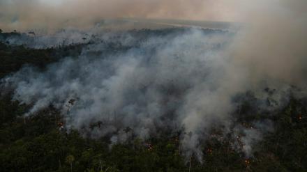 Rauch eines illegalen Feuers im Amazonas.