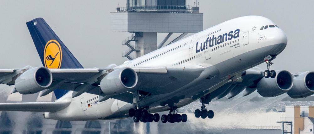 Ein Flugzeug der Lufthansa startet auf dem Flughafen in Frankfurt am Main. (Archivbild).