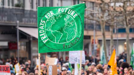 Teilnehmer einer „Fridays For Future“-Demonstration in Mainz