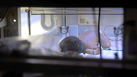 Ein Neugeborenes wird in einem Brutkasten der wieder eröffneten Frühchenstation im Klinikum Mitte in Bremen behandelt.