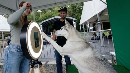 Hundebesitzer fotografieren bei den German Petfluencer Awards 2021 im Waldbad Dünnwald ihre Hunde.