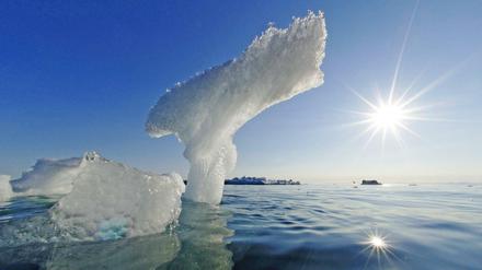 Der Rückgang des arktischen Eises ist dramatisch, sagen Wissenschaftler. 