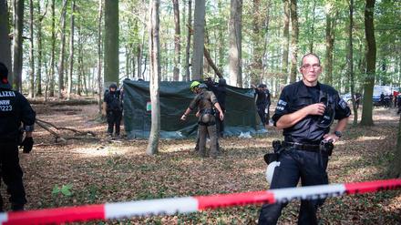 Ein Mann ist im Hambacher Forst aus etwa 15 Metern höhe abgestürzt und gestorben.