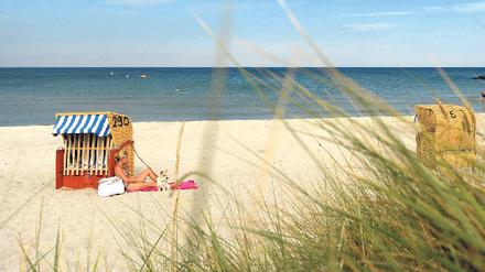 Urlaub in Deutschland. Fast alle Ostseeküsten und 99 Prozent der deutschen Nordseeküste erfüllen die Badewasserstandards der EU.