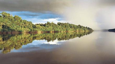 Natur pur. Google plant, dass Internetnutzer sich künftig virtuell auf dem Amazonas und seinem Nebenfluss, dem Rio Negro, treiben lassen können. Dafür fotografieren die Mitarbeiter des US-Konzerns nicht nur die Flüsse, sondern auch die Siedlungen an ihren Ufern und die angrenzenden Regenwälder. 