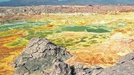 Die spektakulärste Wüste der Welt. Die Danakil-Senke liegt mehr als 100 Meter tiefer als der Meeresspiegel. Sie gehörte früher zum Roten Meer, wurde geologisch abgetrennt und trocknete aus. Die Farben entstehen durch Salze, Metalle und Mineralien. 