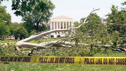 Ausnahmezustand in Washington. Umgestürzter Baum vor dem Kapitol. Foto: dapd