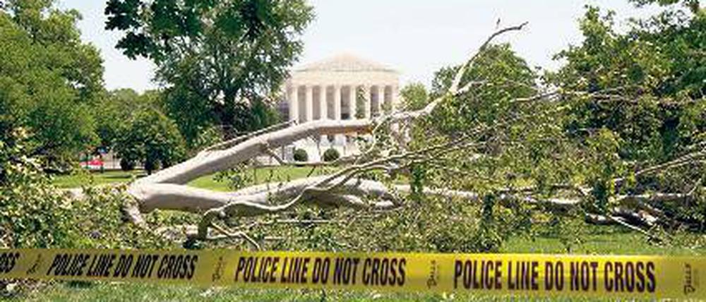 Ausnahmezustand in Washington. Umgestürzter Baum vor dem Kapitol. Foto: dapd