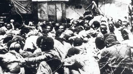Erbärmlich. Hunderttausende Kikuyu wurden in den 50er Jahren interniert. Zehntausende wurden getötet. 