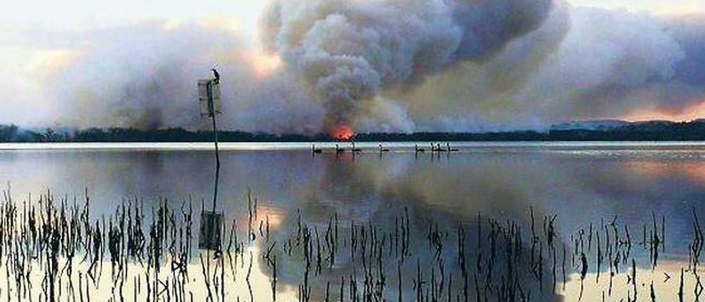Erst am Wasser kommt die Flammenwand zum Stehen. Das Foto wurde in New South Wales aufgenommen. 