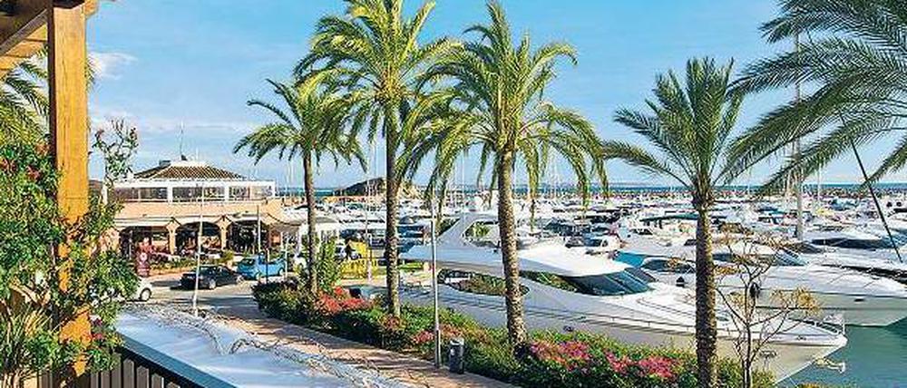 Fünfsternehotels und Segelyachten: Mallorca bekämpft Straßensex und Trinkgelage, um Luxusurlauber anzulocken.