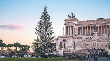 Kahler Glanz: Der Weihnachtsbaum in Rom wird verspottet. 