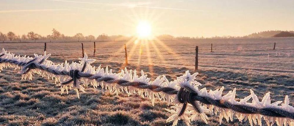 Idyllischer Frost. Auf einem Feld in der Nähe von Hannover war am Montag eine malerische Winterlandschaft zu sehen.
