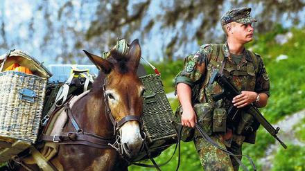 Major Maultier. Die Bundeswehr trainiert im Bad Reichenhaller „Einsatz- und Ausbildungszentrum für Tragtierwesen“ Pferde und Maultiere für den Einsatz. 