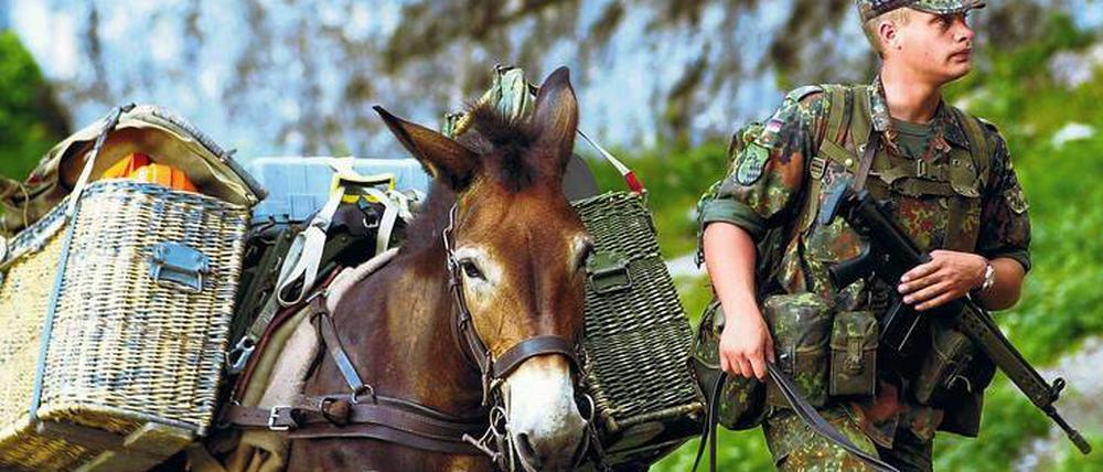 Major Maultier. Die Bundeswehr trainiert im Bad Reichenhaller „Einsatz- und Ausbildungszentrum für Tragtierwesen“ Pferde und Maultiere für den Einsatz. 