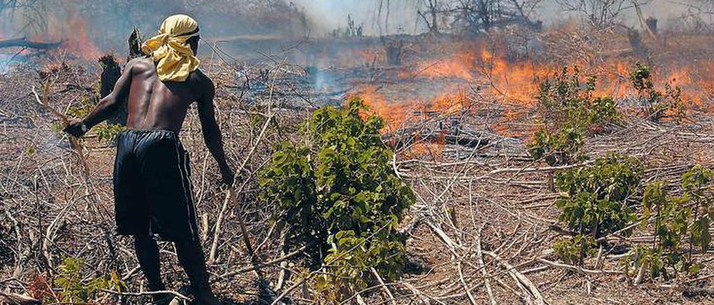 Buschbrände, wie hier im Norden Madagaskars, werden auf dem afrikanischen Kontinent gelegt, um „aufzuräumen“ und Schneisen zu schaffen.