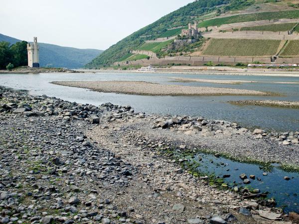 Der Wasserstand des Rheins war im Hochsommer - hier bei Bingen - extream niedrig.